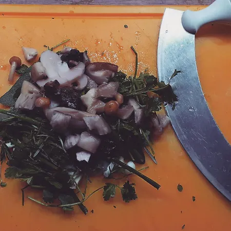 Alojamento de Acomodação e Pequeno-almoço Granica